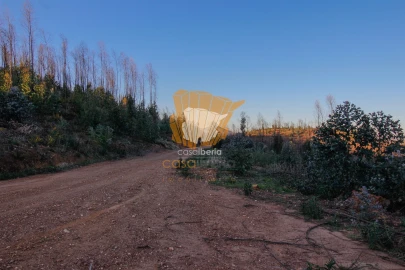 Terreno para Venda em Silves