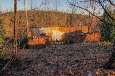 Terreno para Venda em Silves