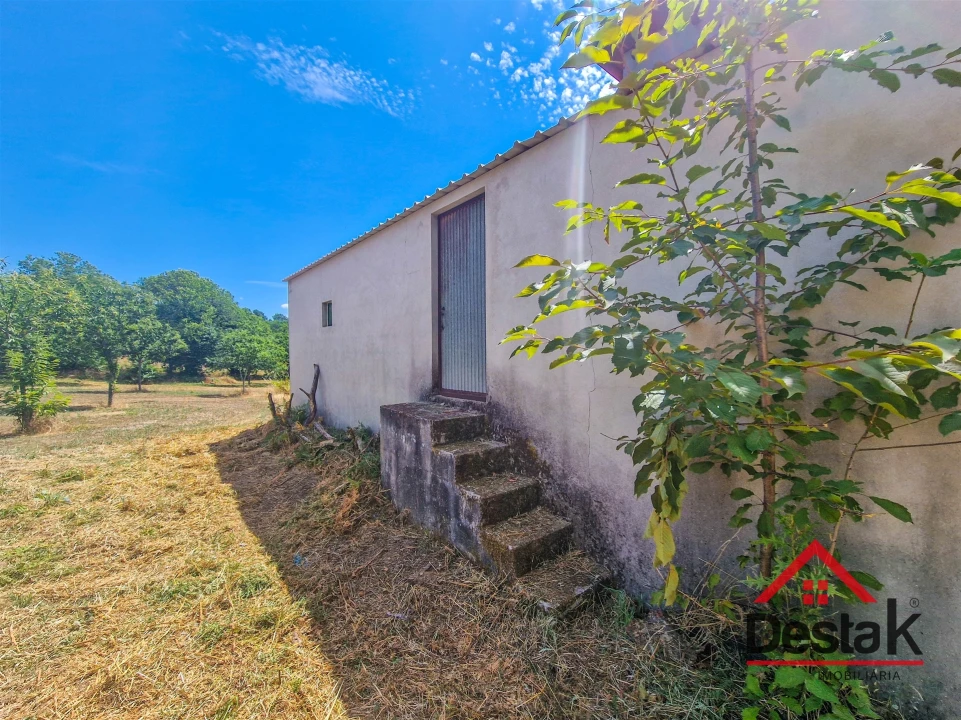 Terreno Agricola ou Rústico para Venda em Granja Nova e Vila Chã da Beira Foto 3