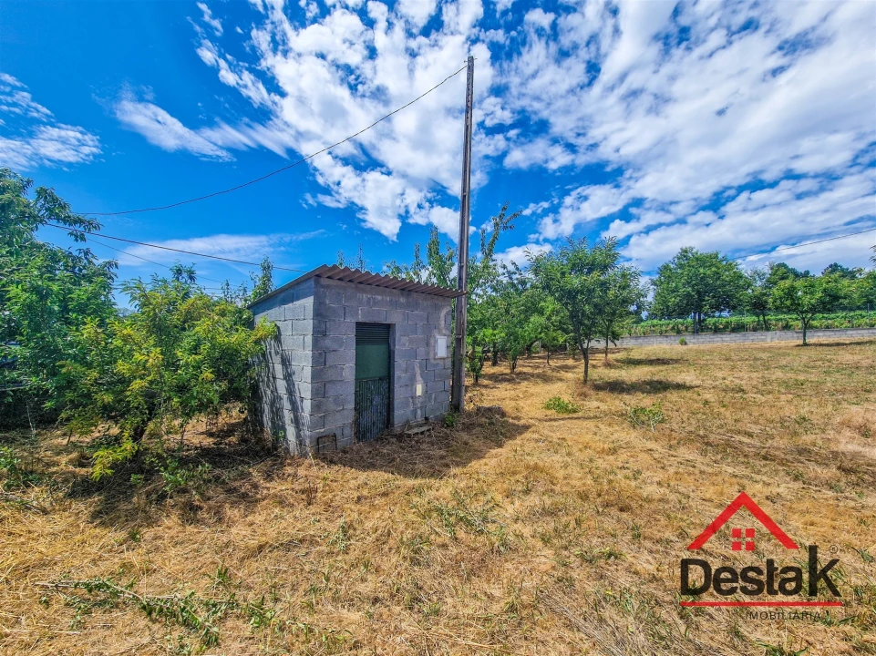 Terreno Agricola ou Rústico para Venda em Granja Nova e Vila Chã da Beira Foto 7