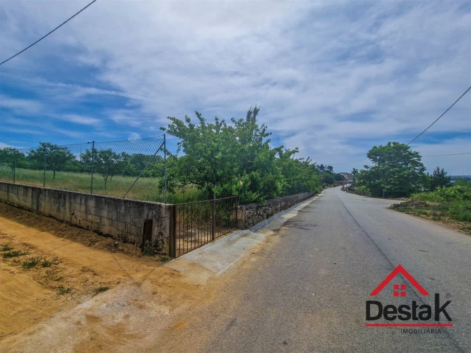 Terreno Agricola ou Rústico para Venda em Granja Nova e Vila Chã da Beira Foto 10