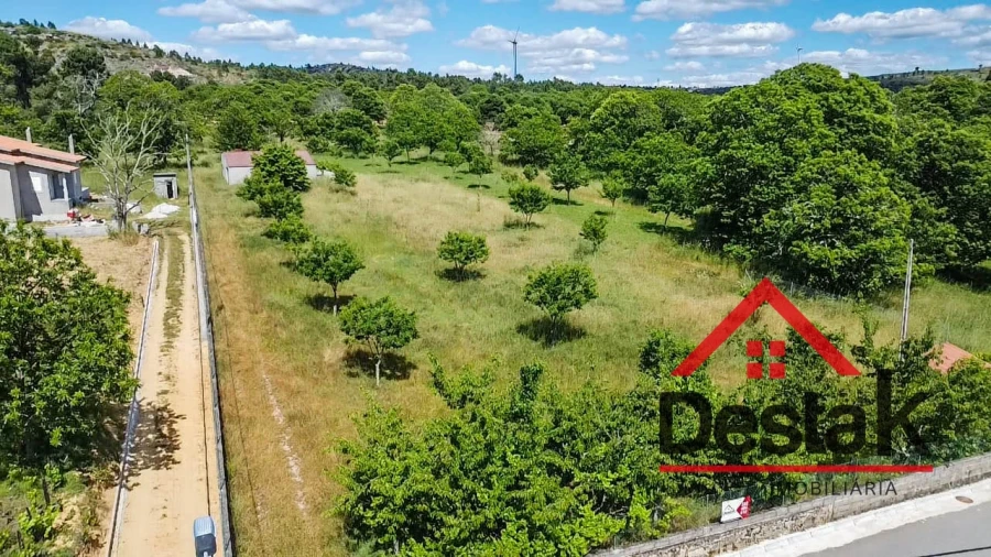 Terreno Agricola ou Rústico para Venda em Granja Nova e Vila Chã da Beira Foto 18
