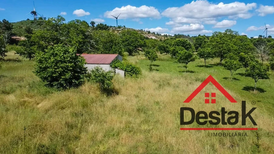 Terreno Agricola ou Rústico para Venda em Granja Nova e Vila Chã da Beira Foto 11