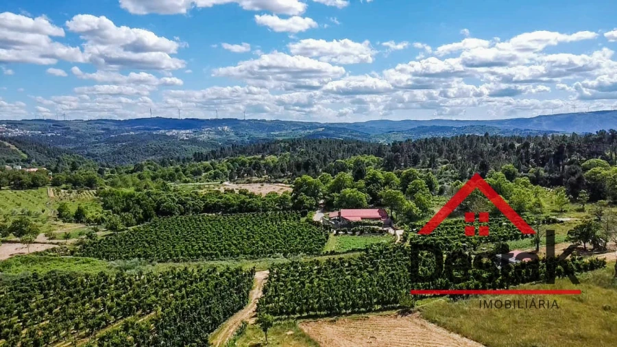 Terreno Agricola ou Rústico para Venda em Granja Nova e Vila Chã da Beira Foto 15