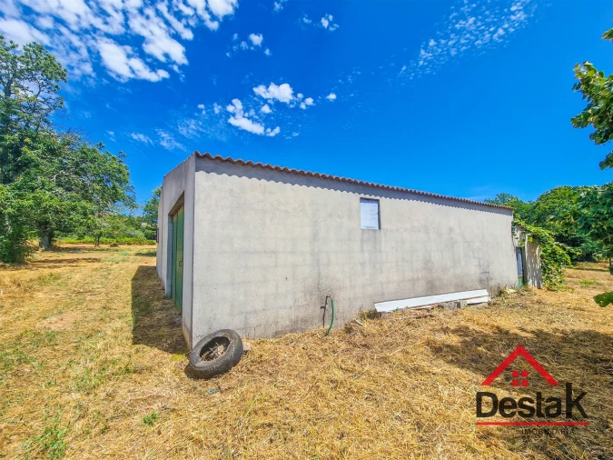 Terreno Agricola ou Rústico para Venda em Granja Nova e Vila Chã da Beira Foto 4