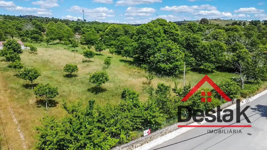 Terreno Agricola ou Rústico para Venda em Granja Nova e Vila Chã da Beira Foto 8