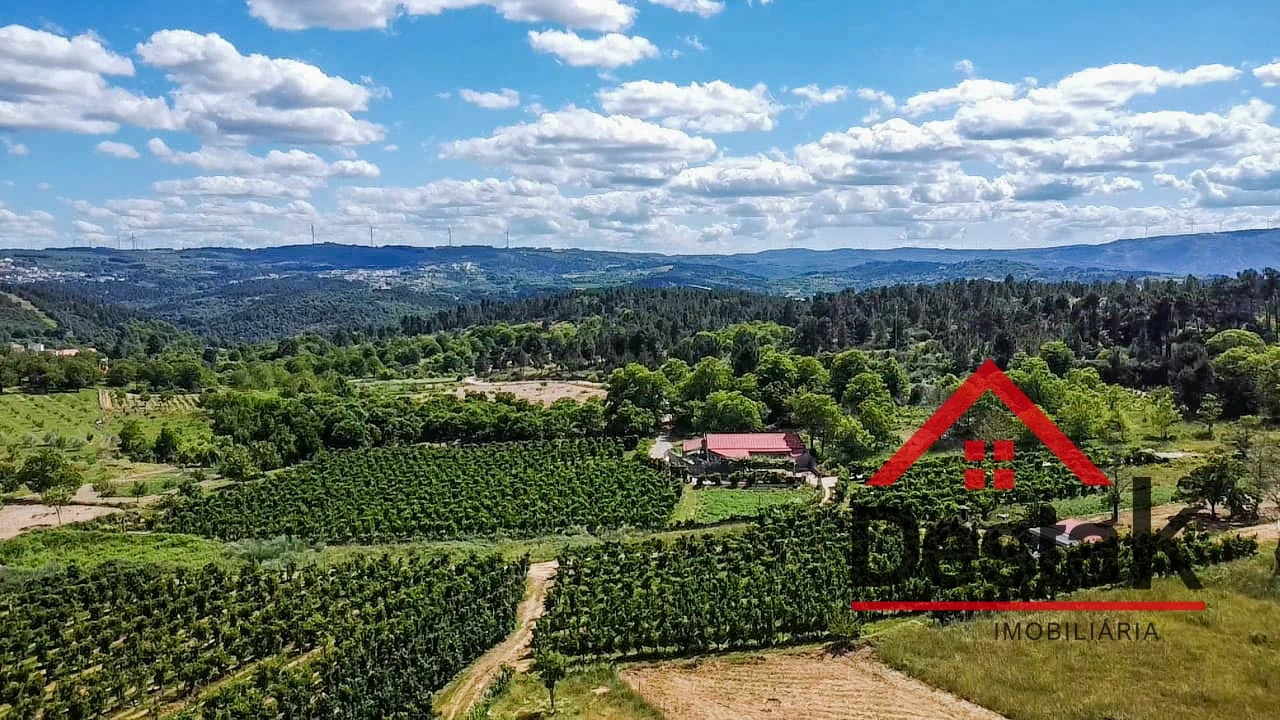 Terreno Agricola ou Rústico para Venda em Granja Nova e Vila Chã da Beira Foto 15