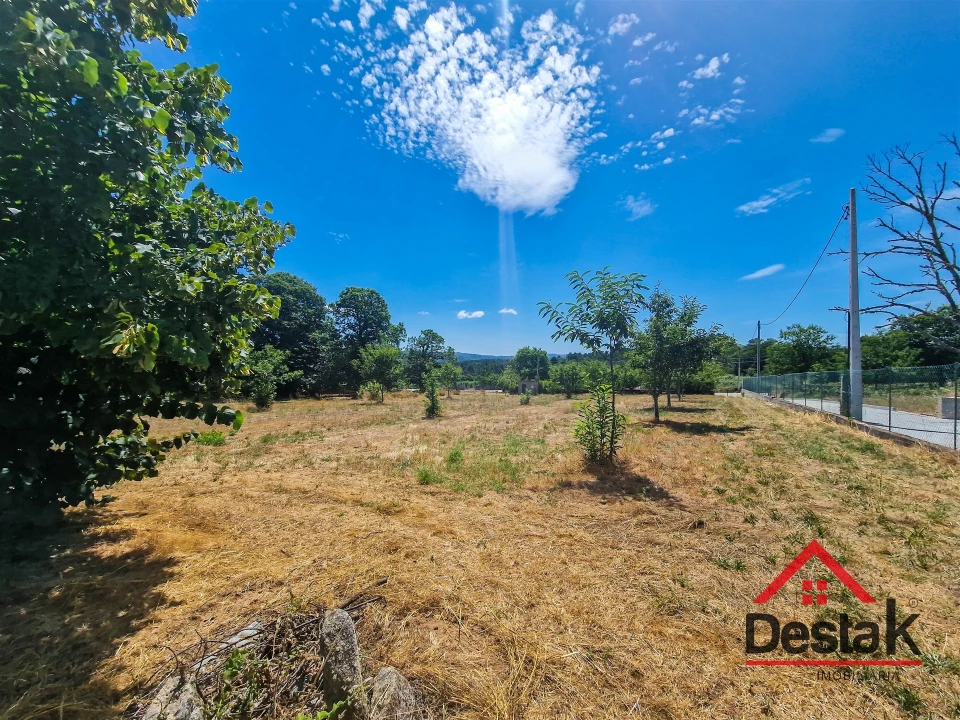 Terreno Agricola ou Rústico para Venda em Granja Nova e Vila Chã da Beira Foto 2