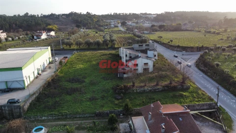 Terreno para Venda em São João de Lourosa