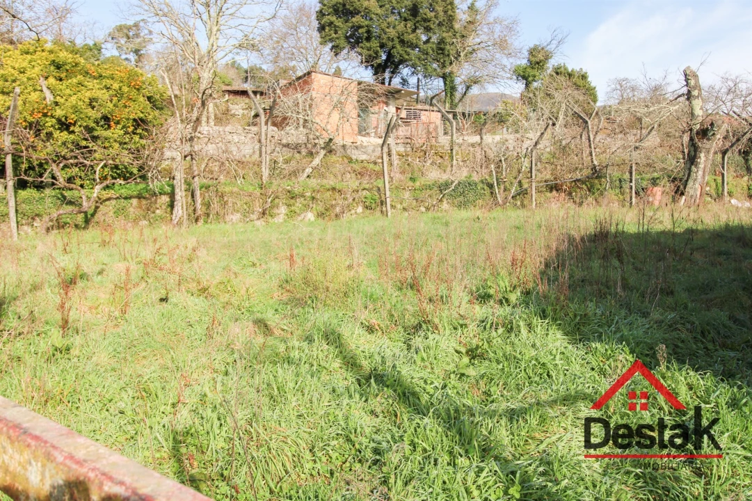 Terreno Agricola ou Rústico para Venda em Carvalhais e Candal Foto 3