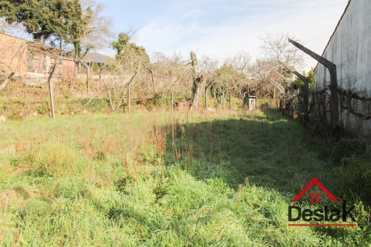 Terreno Agricola ou Rústico para Venda em Carvalhais e Candal Foto 2