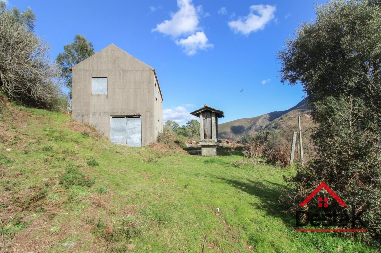 Terreno para Venda em Carvalhais e Candal Foto 3