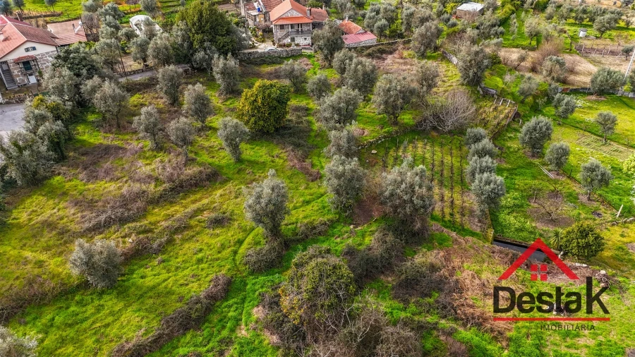 Terreno para Venda em Silgueiros Foto 8