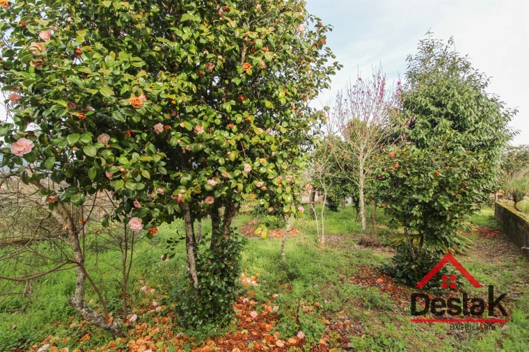 Moradia T3 para Venda em Arcozelo das Maias Foto 28