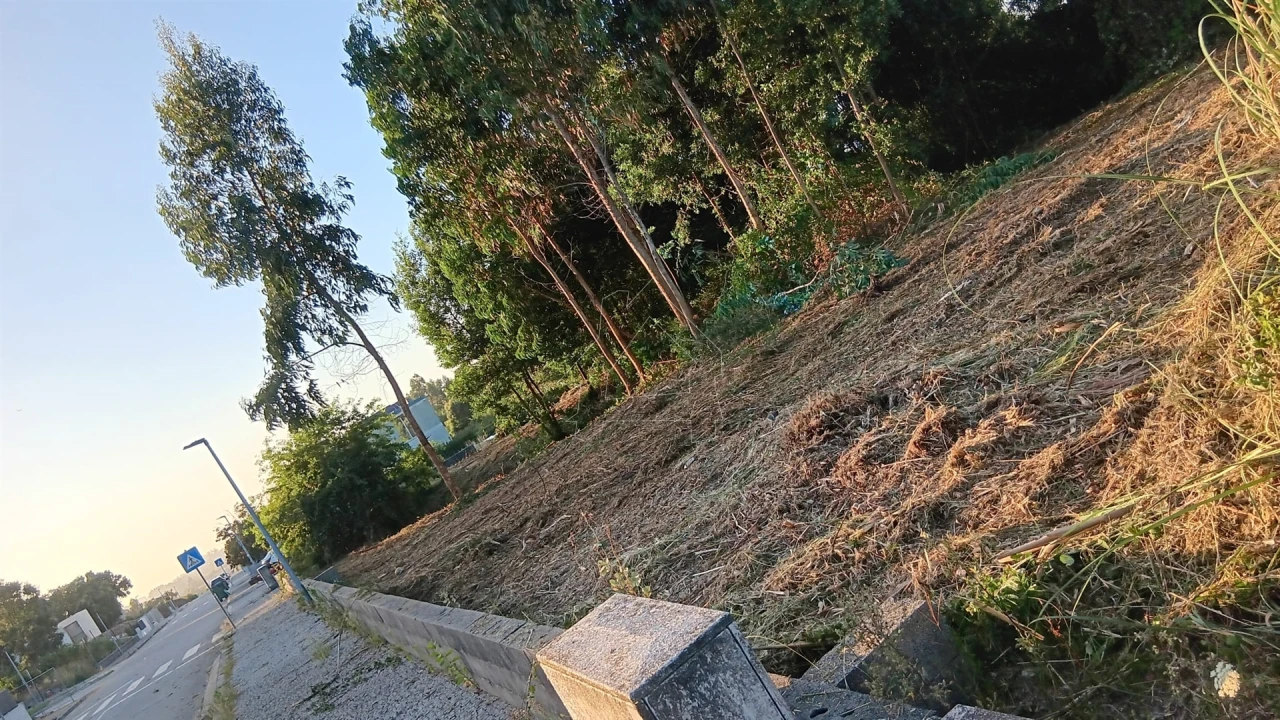 Terreno para Venda em Serzedo e Perosinho Foto 1