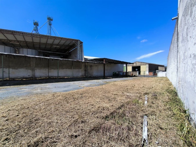 Terreno para Venda em Ferreira do Alentejo e Canhestros Foto 8