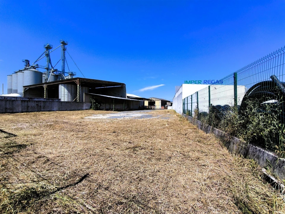 Terreno para Venda em Ferreira do Alentejo e Canhestros Foto 2