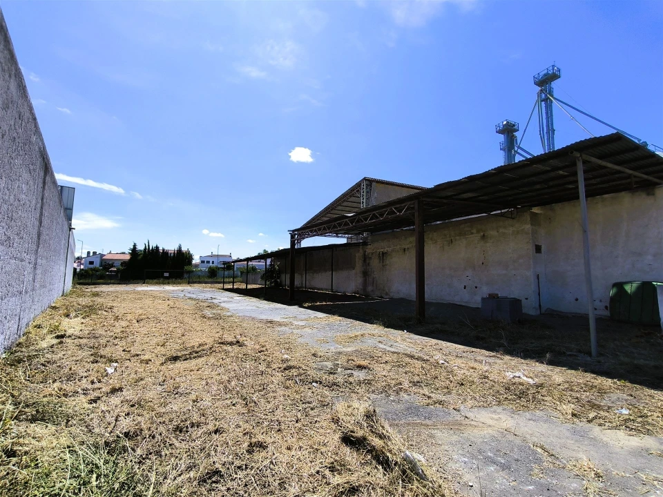 Terreno para Venda em Ferreira do Alentejo e Canhestros Foto 9