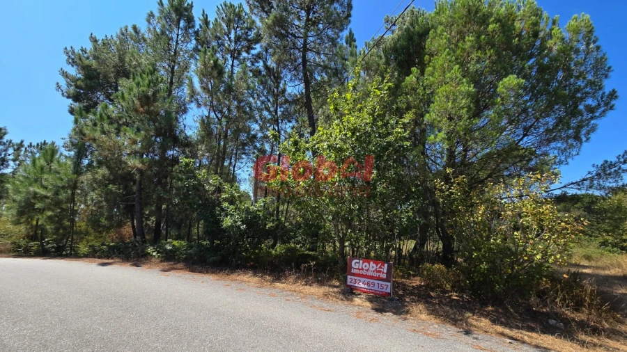 Terreno Agricola ou Rústico para Venda em Rio de Loba Foto 1