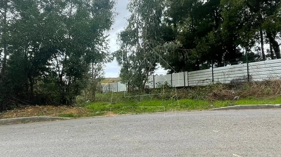 Terreno Agricola ou Rústico para Venda em Rio Meão
