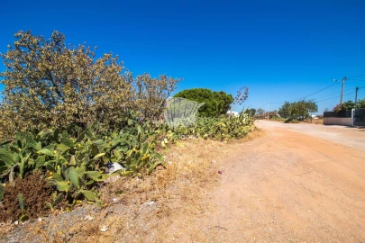 Terreno para Venda em Quelfes