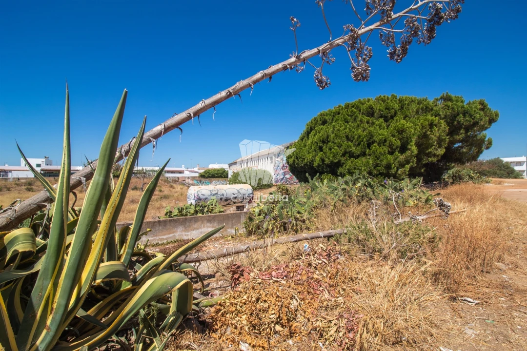 Terreno para Venda em Quelfes Foto 6