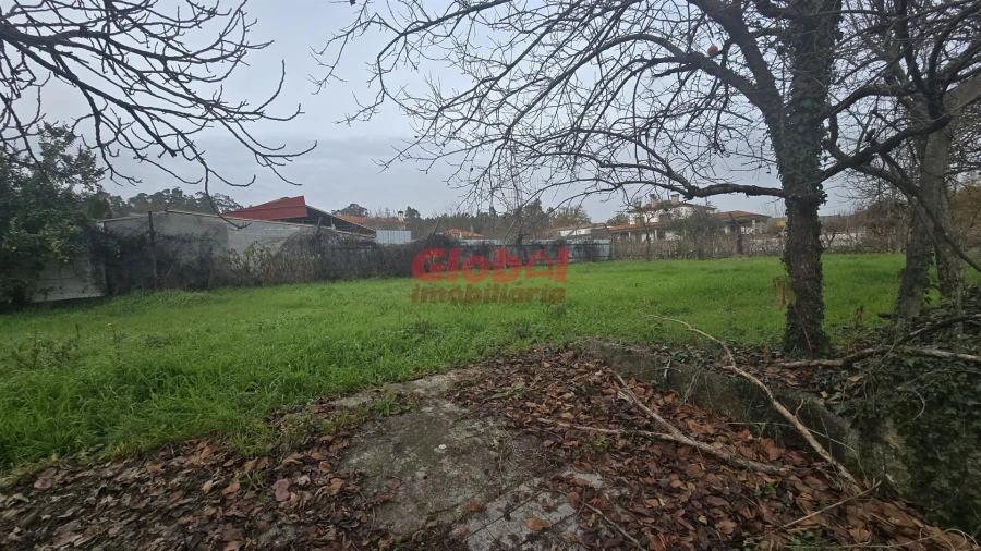 Terreno para Venda em Mundão Foto 2