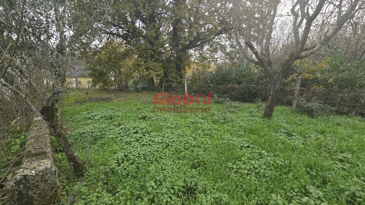 Terreno para Venda em Mundão Foto 3