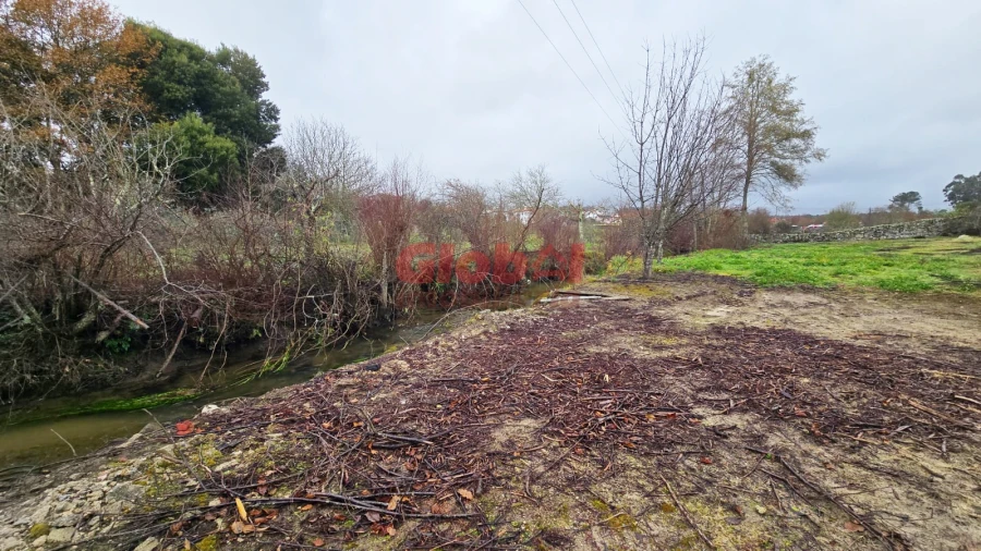 Terreno para Venda em Viseu Foto 2