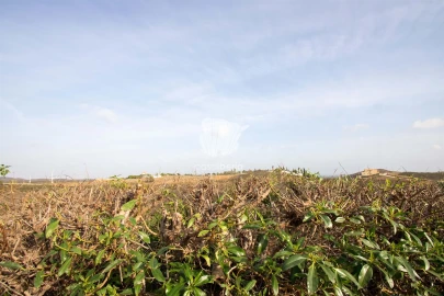 Moradia T3 para Venda em Tavira (Santa Maria e Santiago)