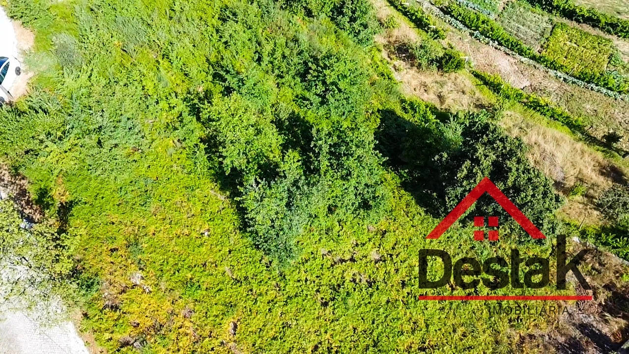 Terreno para Venda em Castro Daire Foto 9