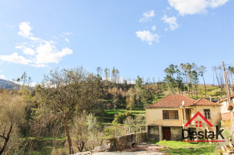 Moradia T4 para Venda em Sul Foto 30