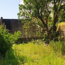 Moradia T0 para Venda em Ovar, São João, Arada e São Vicente de Pereira Jusã