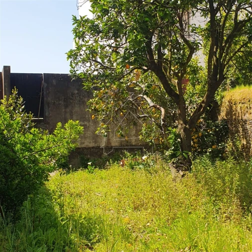 Moradia T0 para Venda em Ovar, São João, Arada e São Vicente de Pereira Jusã Foto 4