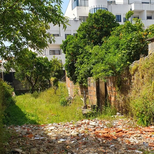 Moradia T0 para Venda em Ovar, São João, Arada e São Vicente de Pereira Jusã Foto 3