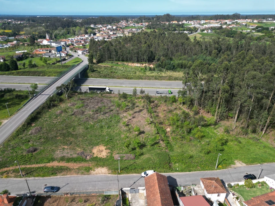 Terreno para Venda em Caldas de São Jorge e Pigeiros Foto 1