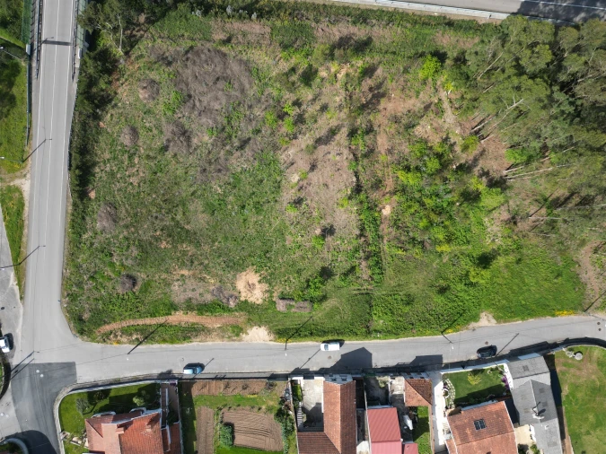 Terreno para Venda em Caldas de São Jorge e Pigeiros Foto 4