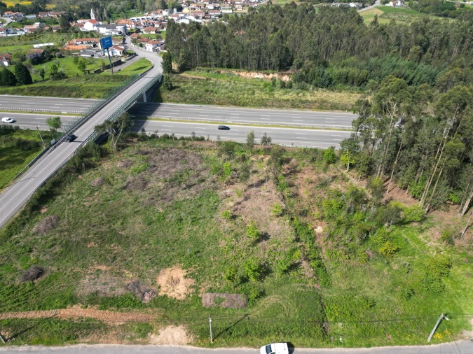 Terreno para Venda em Caldas de São Jorge e Pigeiros Foto 3