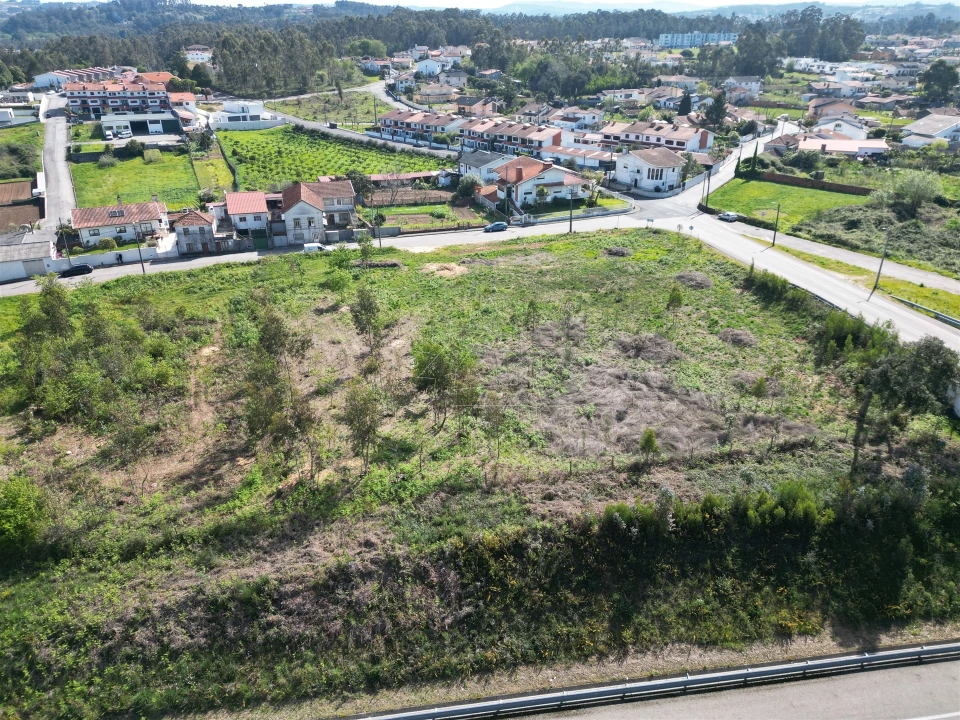 Terreno para Venda em Caldas de São Jorge e Pigeiros Foto 5