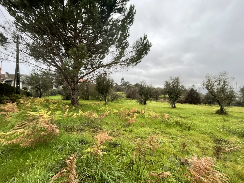 Terreno para Venda em Silgueiros Foto 1