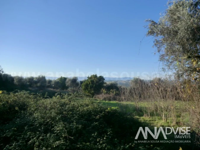 Terreno para Venda em Silgueiros Foto 3