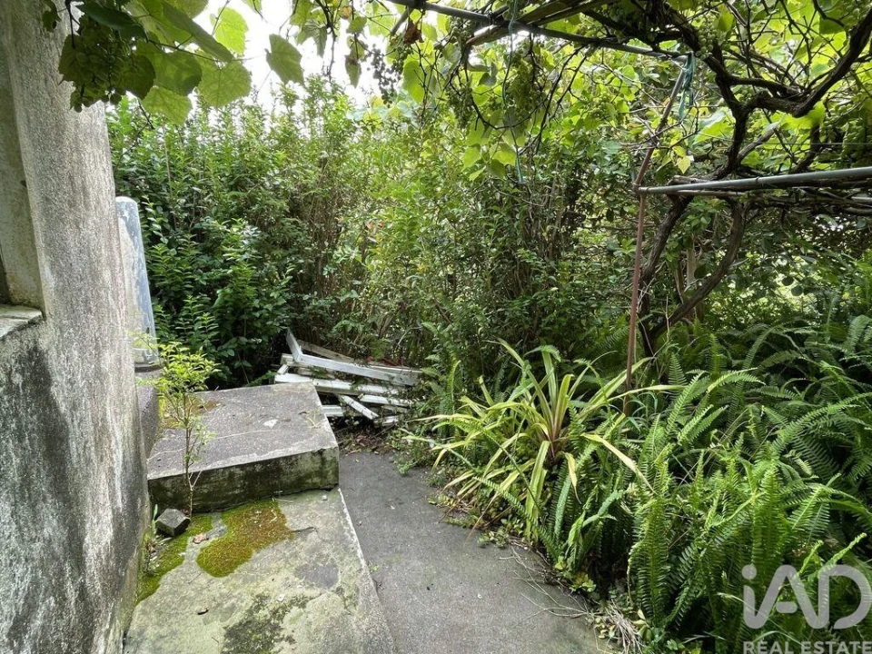 Moradia T4 para Venda em Velas (São Jorge) Foto 23