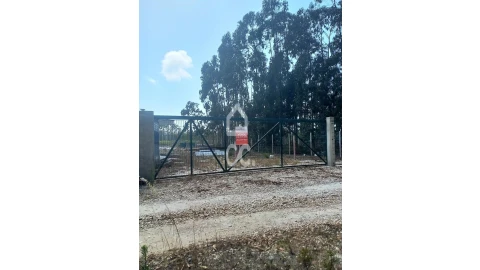 Terreno para Venda em Vieira de Leiria