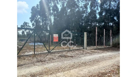 Terreno para Venda em Vieira de Leiria