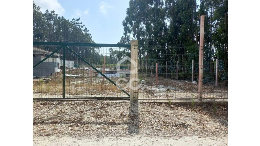 Terreno para Venda em Vieira de Leiria Foto 9