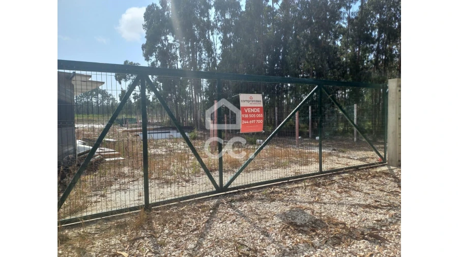 Terreno para Venda em Vieira de Leiria Foto 2