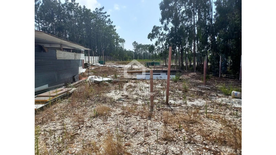 Terreno para Venda em Vieira de Leiria Foto 6