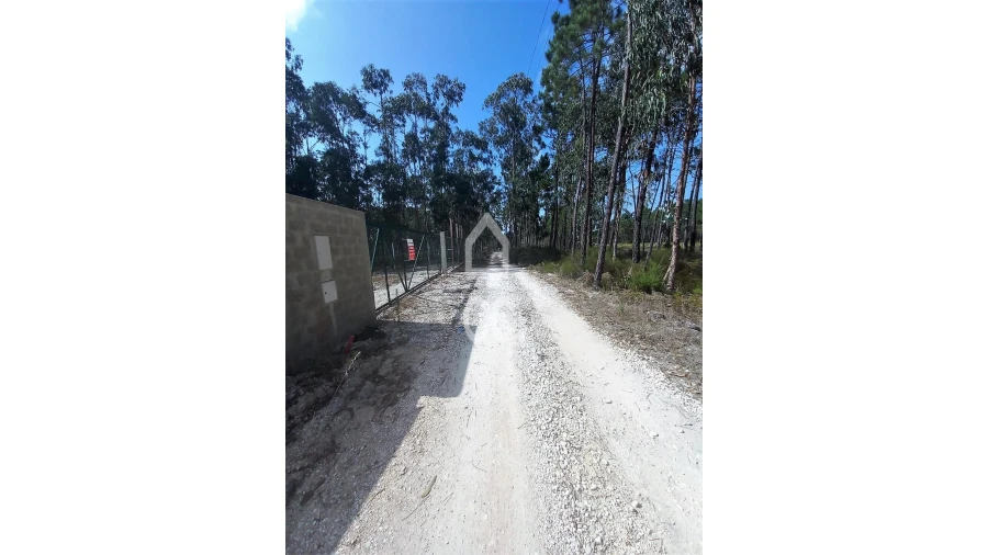 Terreno para Venda em Vieira de Leiria Foto 5