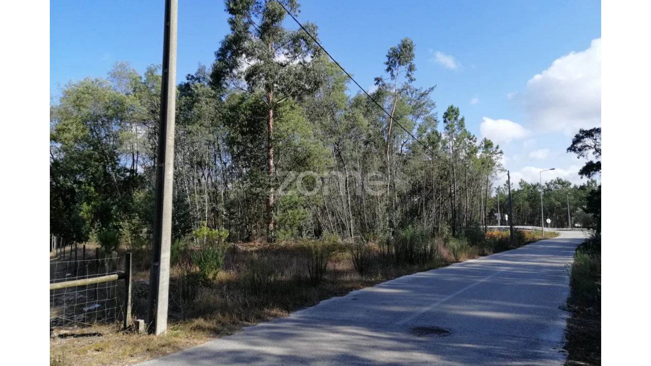 Terreno para Venda em Sanguinheira Foto 2