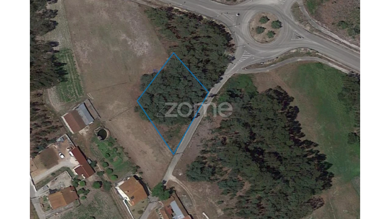 Terreno para Venda em Sanguinheira Foto 1